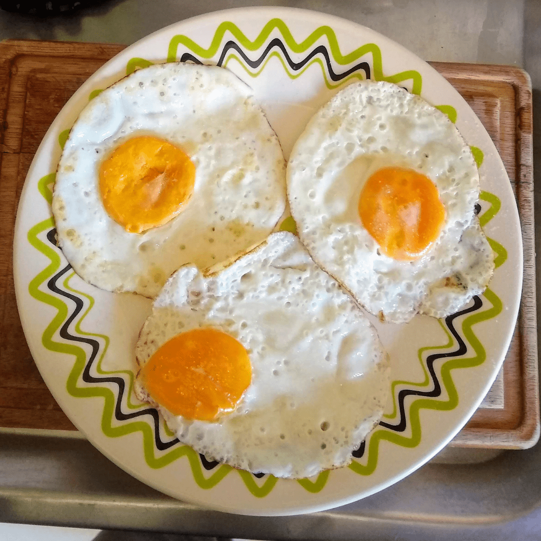 fried egg